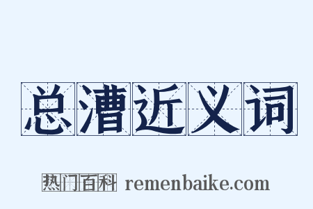 总漕近义词是什么意思的图片